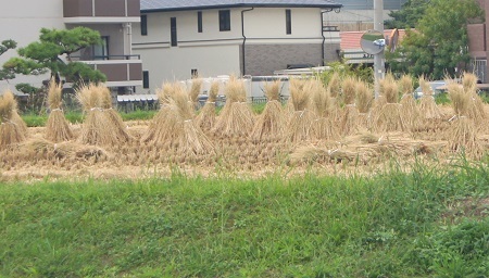 DSC09365 - コピー.JPG