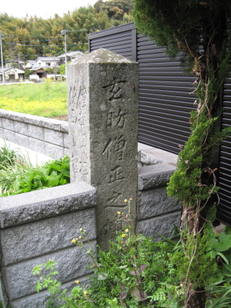 20100413genbo1.jpg