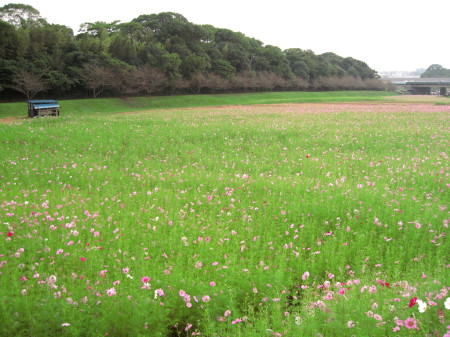 2011.10.15̃RXXP_1.jpg