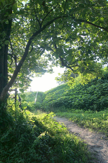 20110717W]_1_1.jpg