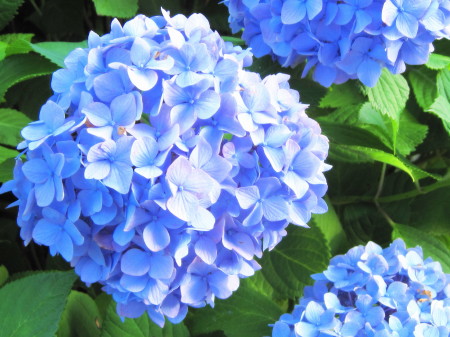 20130611zԂR_1.jpg