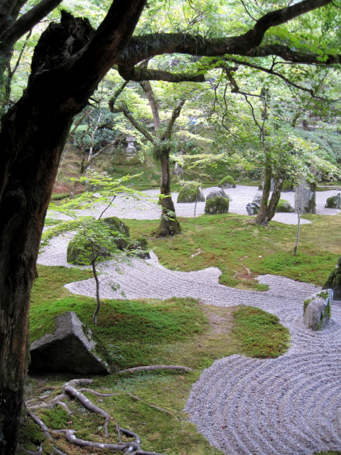 20131020T_1.jpg