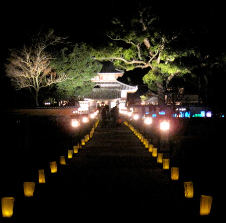 20131231ライトアップ_1.jpg