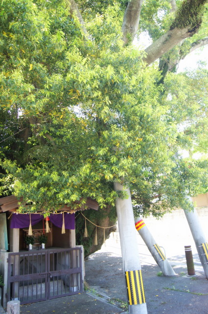20140507清明の井2_1_1.jpg
