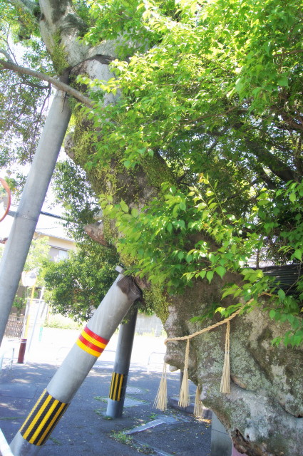 20140507清明の井6_1_1.jpg