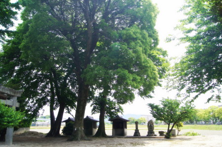 20140510老松神社2_1.jpg