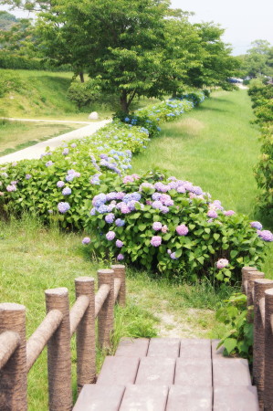 20140609iR_1.jpg