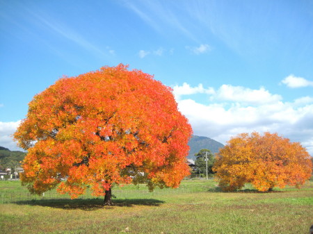 20141127JCmL_1_1.jpg