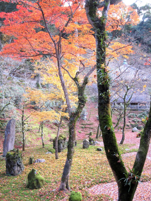 光明禅寺 麗し太宰府blog