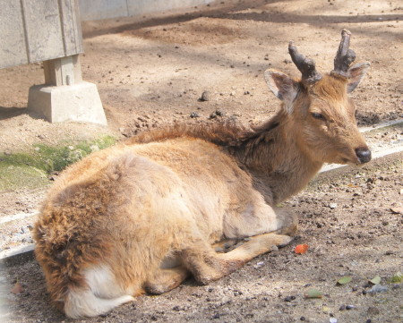 2014t}_ЂS_1.jpg