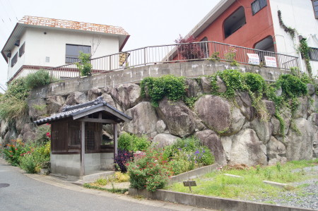 2014稲子2_1.jpg
