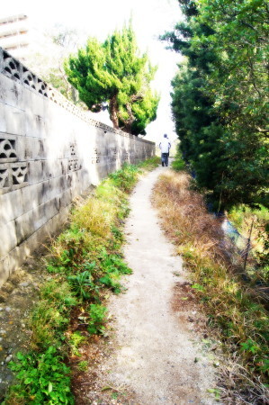 20150128Љ^˂Q_1.jpg