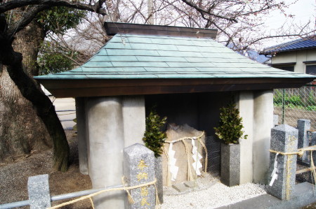 20150202六弁の梅5_1.jpg