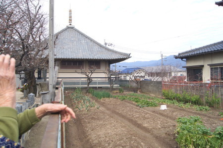 20150202六弁の梅7_1.jpg