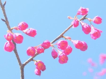 20150317R.jpg