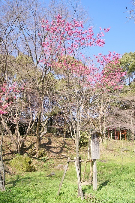 20150317S.jpg