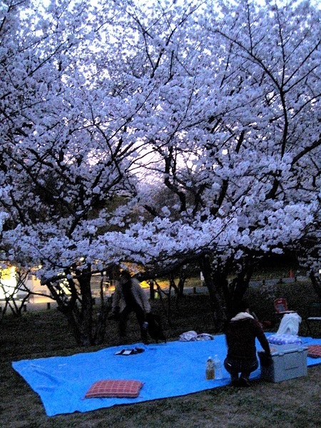 20150330ԌP.jpg