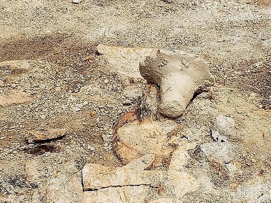 20180825_104756 - コピー.jpg
