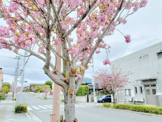 20190411_121311 - Rs[.jpg