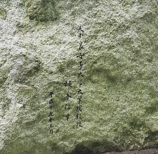 20190604_160449 - Rs[.jpg