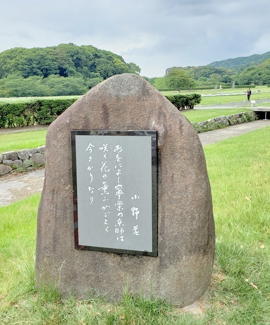 20190604_163428 - Rs[.jpg