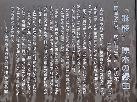 20190626_164850 - Rs[.jpg