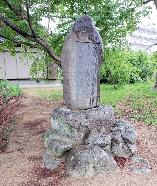 20190626_165717 - コピー.jpg
