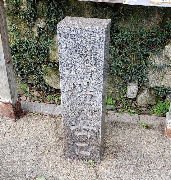 20200730_153843 - コピー.jpg