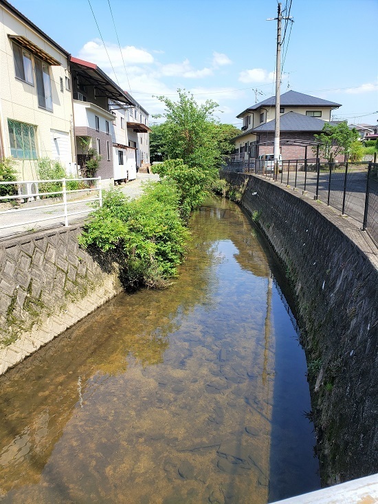 20210519L̕R - Rs[.jpg