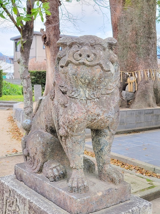 20230312_150928 - コピー.jpg