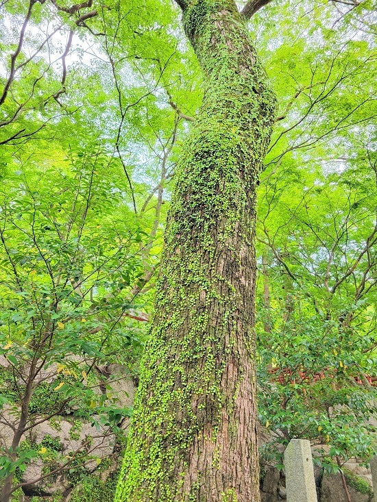 20230624_143544 - Rs[.jpg