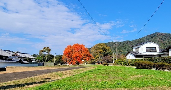 20231127_125428 - コピー.jpg