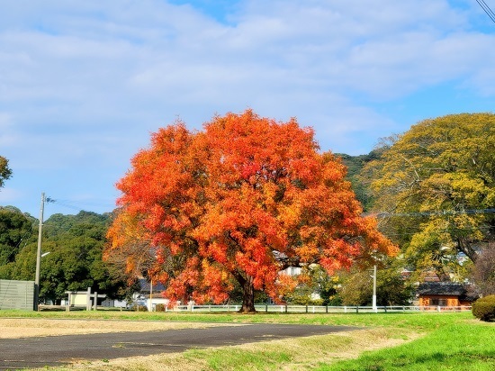 20231127_125431 - コピー.jpg