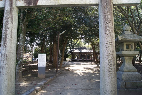 DSC00785 - Rs[.JPG