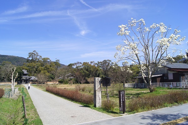 DSC01080 - Rs[.JPG