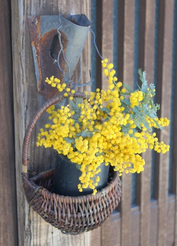 DSC01089 - Rs[.JPG