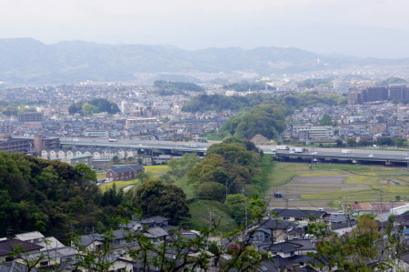 DSC01462_1.JPG