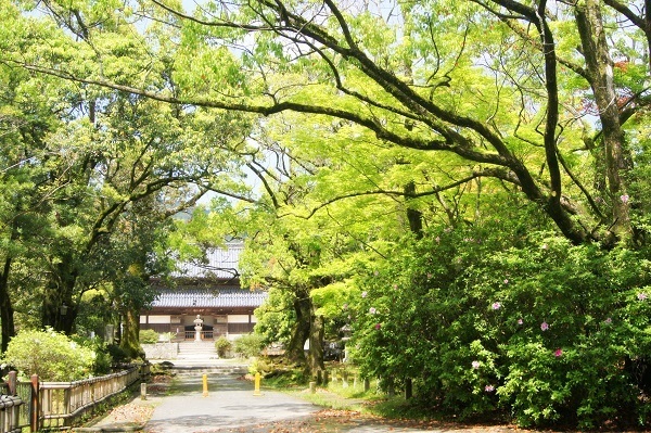 DSC01502 - Rs[.JPG