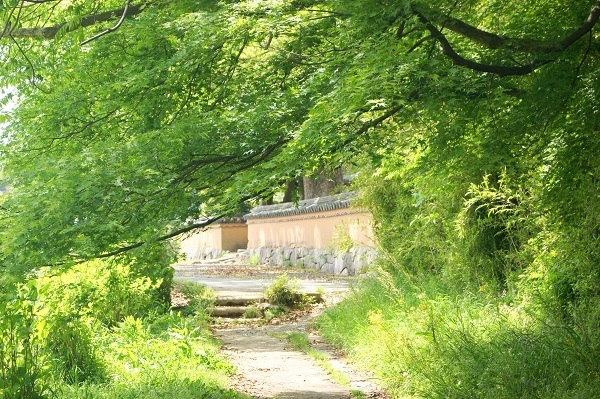 DSC01522 - Rs[.JPG