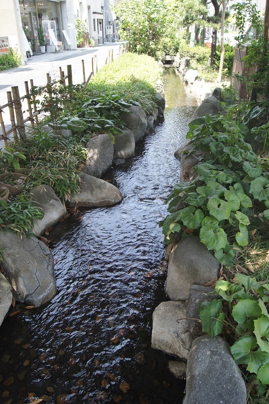 DSC03914 - Rs[.JPG