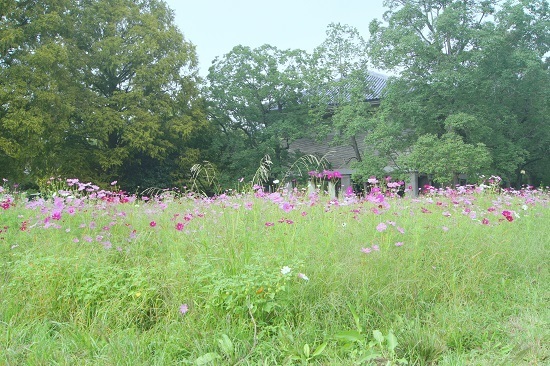 DSC04639.JPG