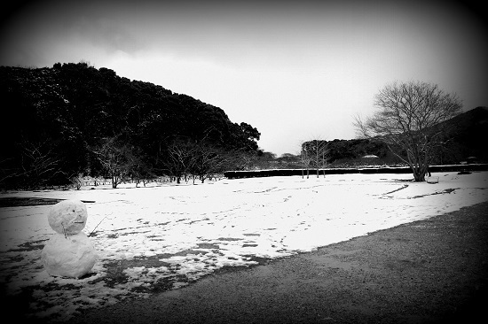DSC04849 - Rs[ - Rs[.JPG