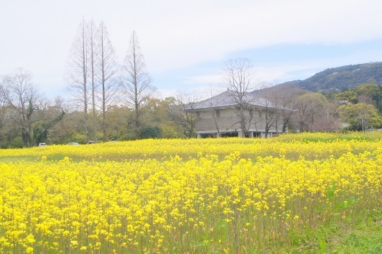 DSC07050 - Rs[.JPG