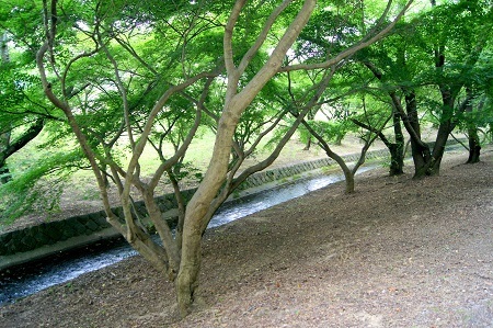 DSC07900.JPG