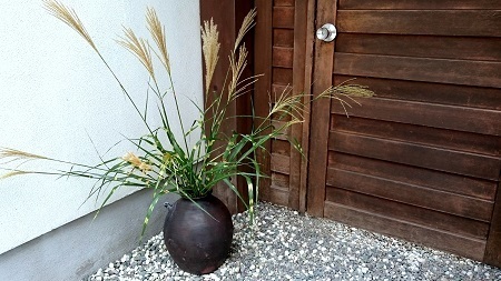 DSC_0202 - Rs[.JPG