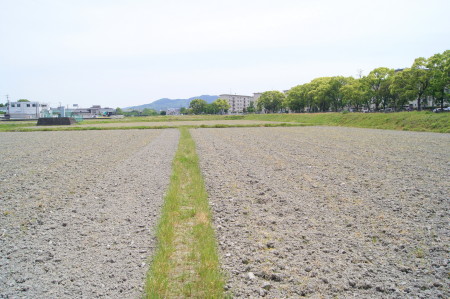 ビューポイント四王寺1_1.jpg