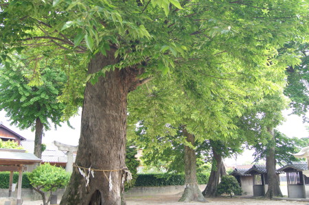 ビューポイント四王寺5_1.jpg