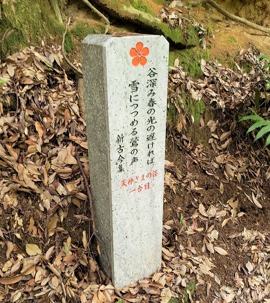天神様の径2 - コピー.jpg