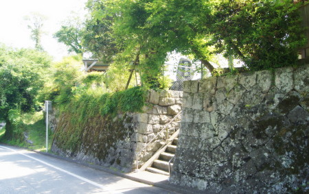 定家葛20144_1.jpg