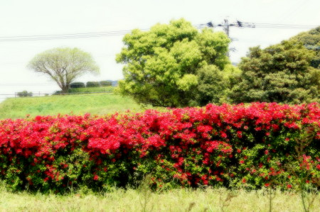 2013041710_1.jpg